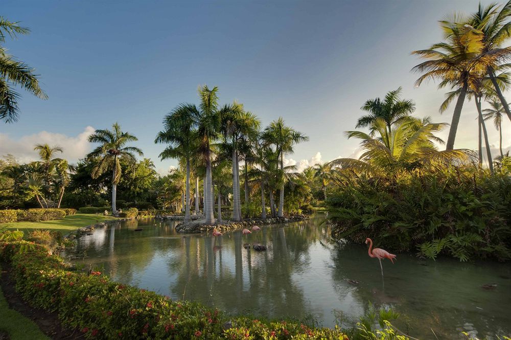 The Level At Melia Caribe (adults Only) Punta Cana