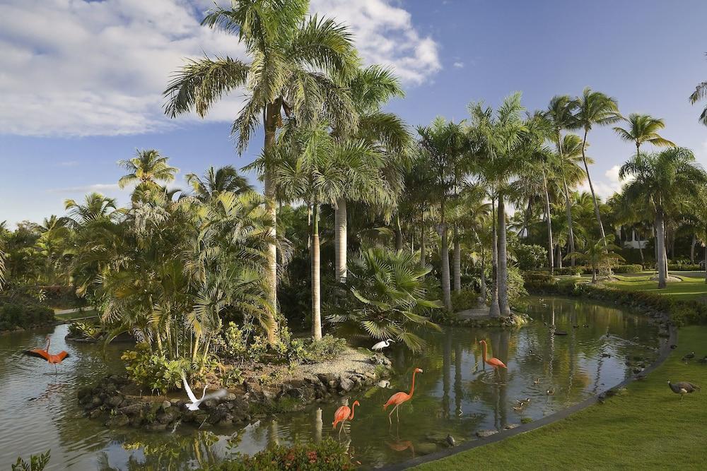 The Level At Melia Caribe (adults Only) Punta Cana